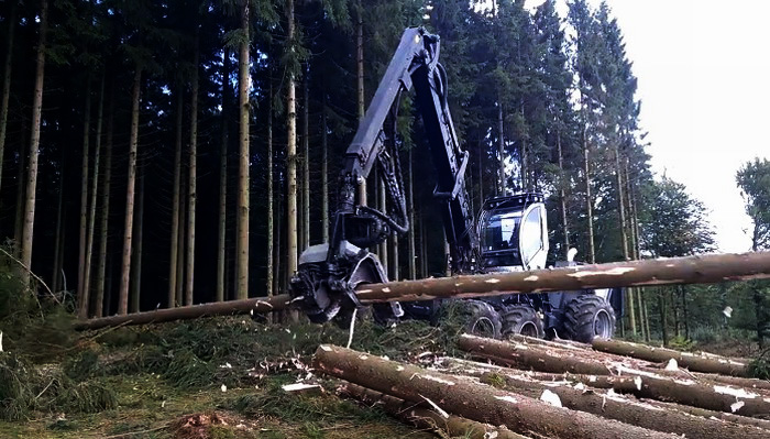 Скоростная заготовка леса в Дании
