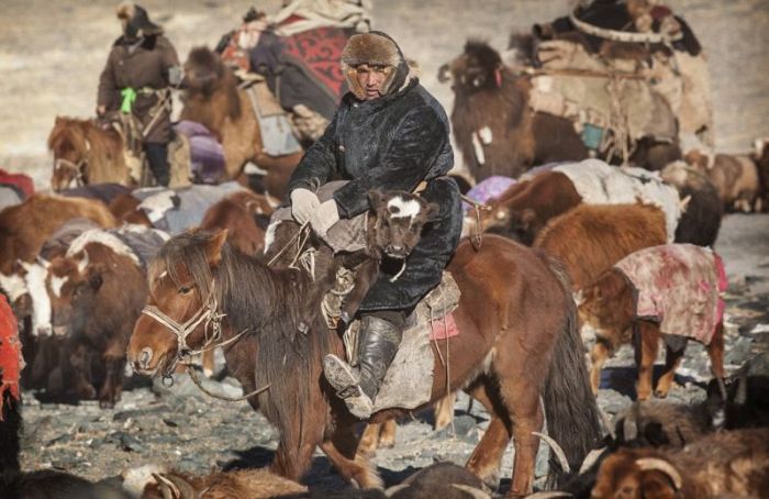 Весеннее переселение кочевой казахской семьи