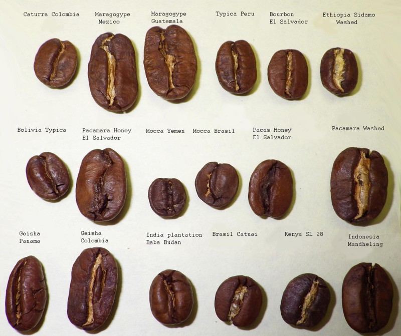 Как выбрать правильный кофе?