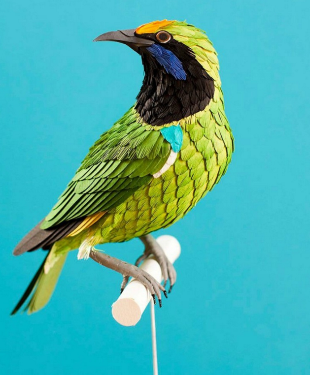 Невероятные бумажные птички от колумбийской художницы 