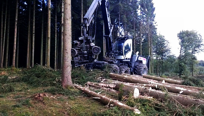 Скоростная заготовка леса в Дании